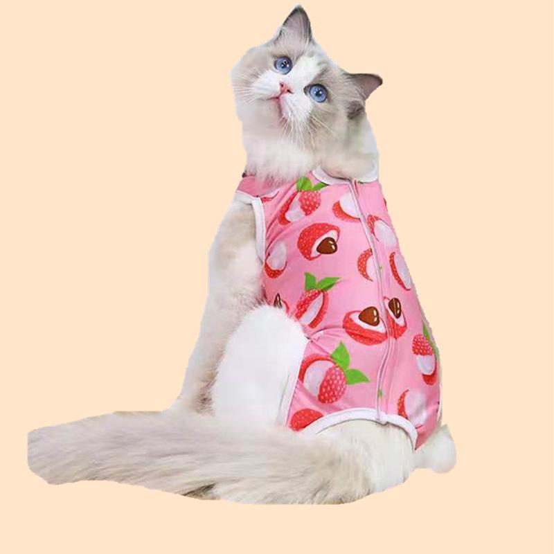 Защитная одежда для кошек после операции - защита от укусов и облизывания, с мультяшным принтом