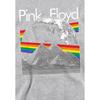 Pink Floyd Childrens/Kids The Moon Pull Over Hoodie