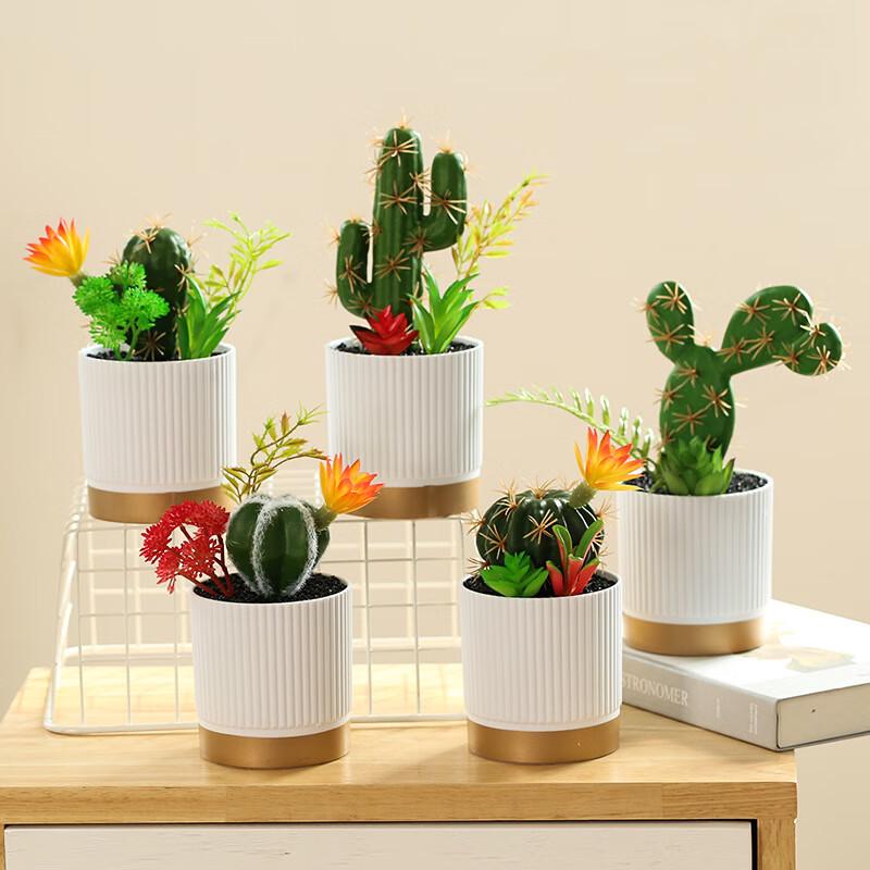 Nordic Artificial Cactus & Succulent 5-Piece Set