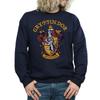 HARRY POTTER Мужская толстовка Гриффиндор