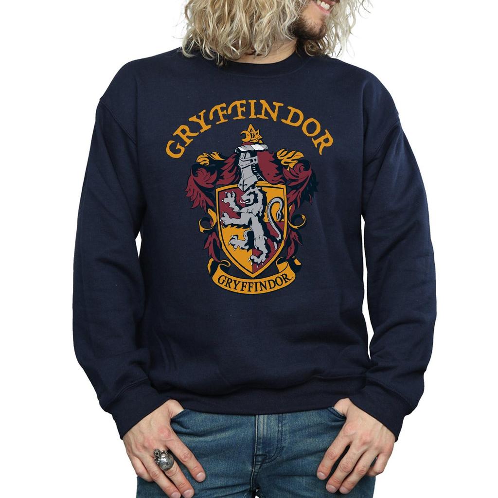 HARRY POTTER Мужская толстовка Гриффиндор