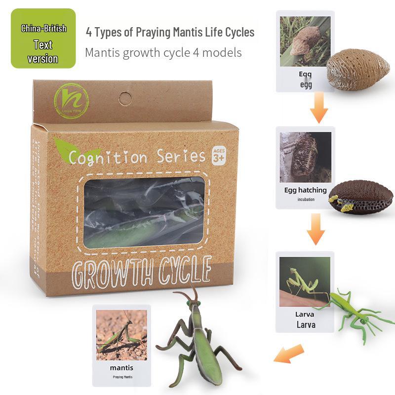 Montessori Animal & Plant Growth Cycle Teaching Toys for Kids