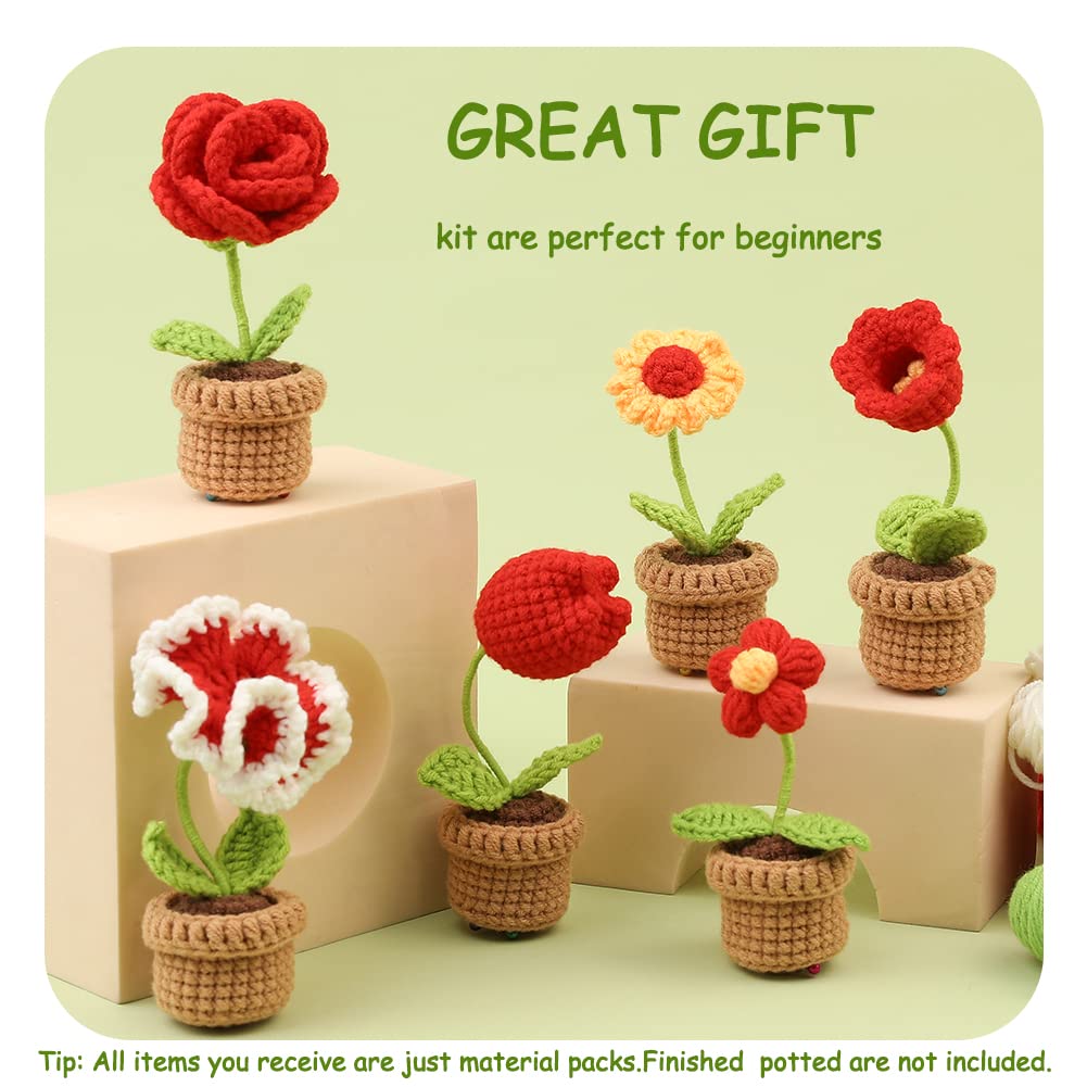 Crochet Kit for Beginners 6 Pcs Crochet Potted Flowers Kit Red Complete Crochet Kit for Beginners Adults with Step by Step Instructions and Video