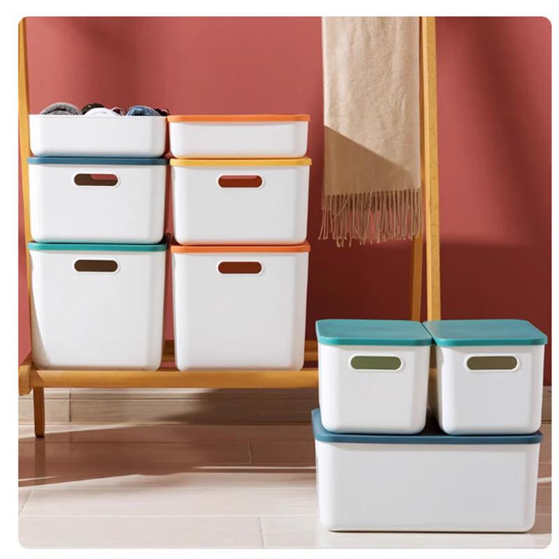 Plastic Desktop Storage Box with Lid