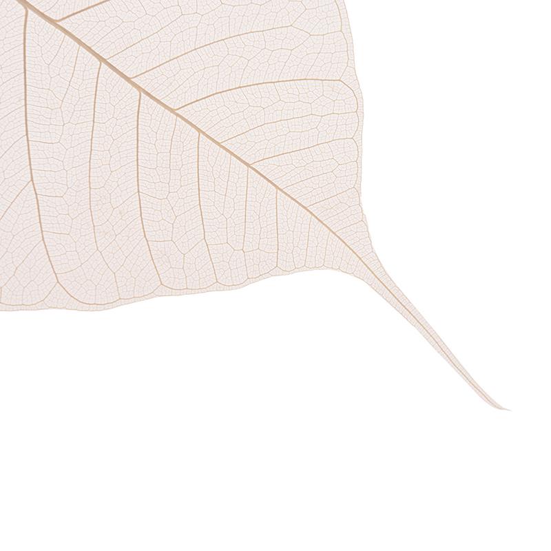 Форма листьев Бодхи Утечка Кунг-фу Чайные заварочные устройства Фильтр для листового чая Аксессуары