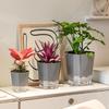 Eco-Friendly Self Watering Flowerpot Double Layer Useful Automatically Absorbs Water Flower Holder with Rope
