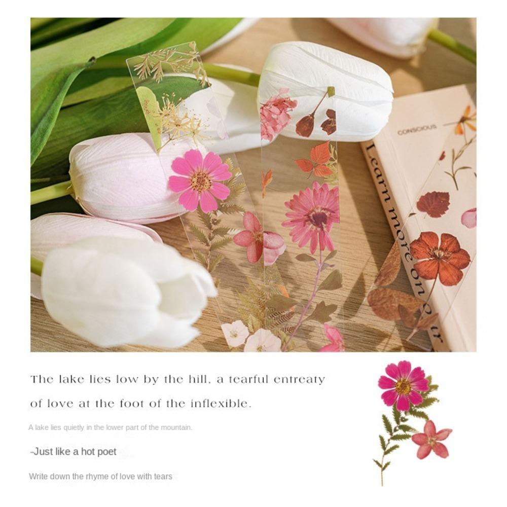 5шт четыре сезона цветок путешествия серии закладка ПВХ книга маркер страницы подарок натуральные растения закладка