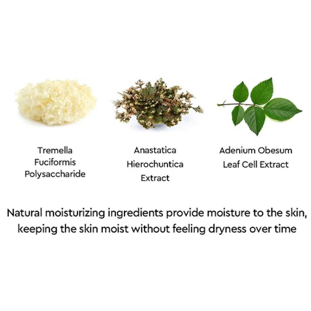 DEWYTREE Urban Shade Anti-Pollution Солнцезащитное средство 40 мл (SPF50 +)