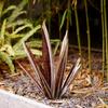Tequila Sculpture Hand Painted Agave Plant Garden Ornament Outdoor Yard Stake