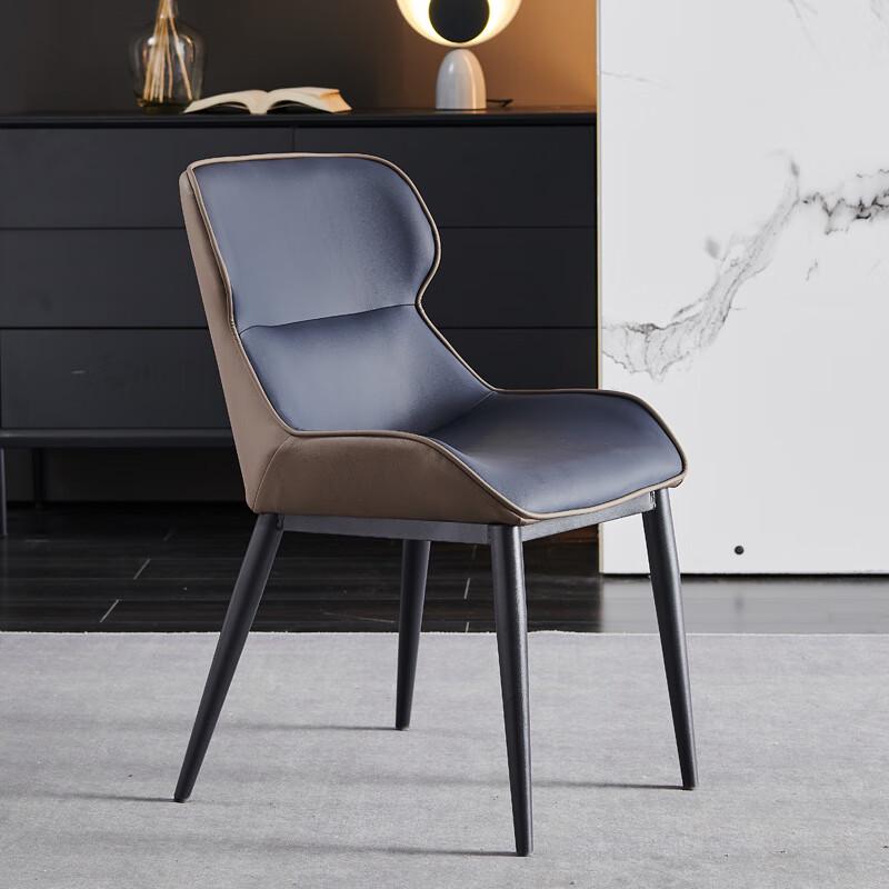 ZISIZ Modern Minimalist Light Luxury Dining Chair