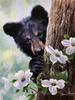 5D Full Drill Diamond Painting Animal Bear Diamond Embroidery Mosaic Forest Cross Stitch Kits Decoration For Home