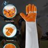 Professional Dog Training Anti-Bite & Scratch Gloves