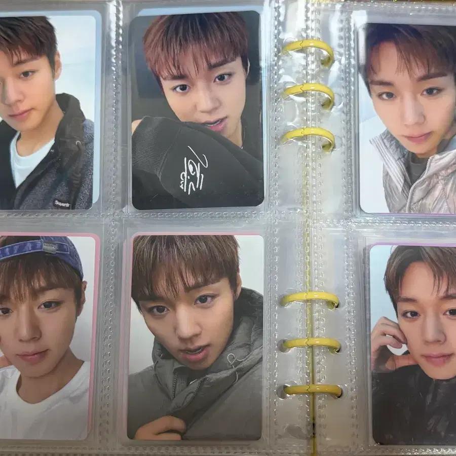 Park Ji-hoon Shu Peodry photocard 6-piece set