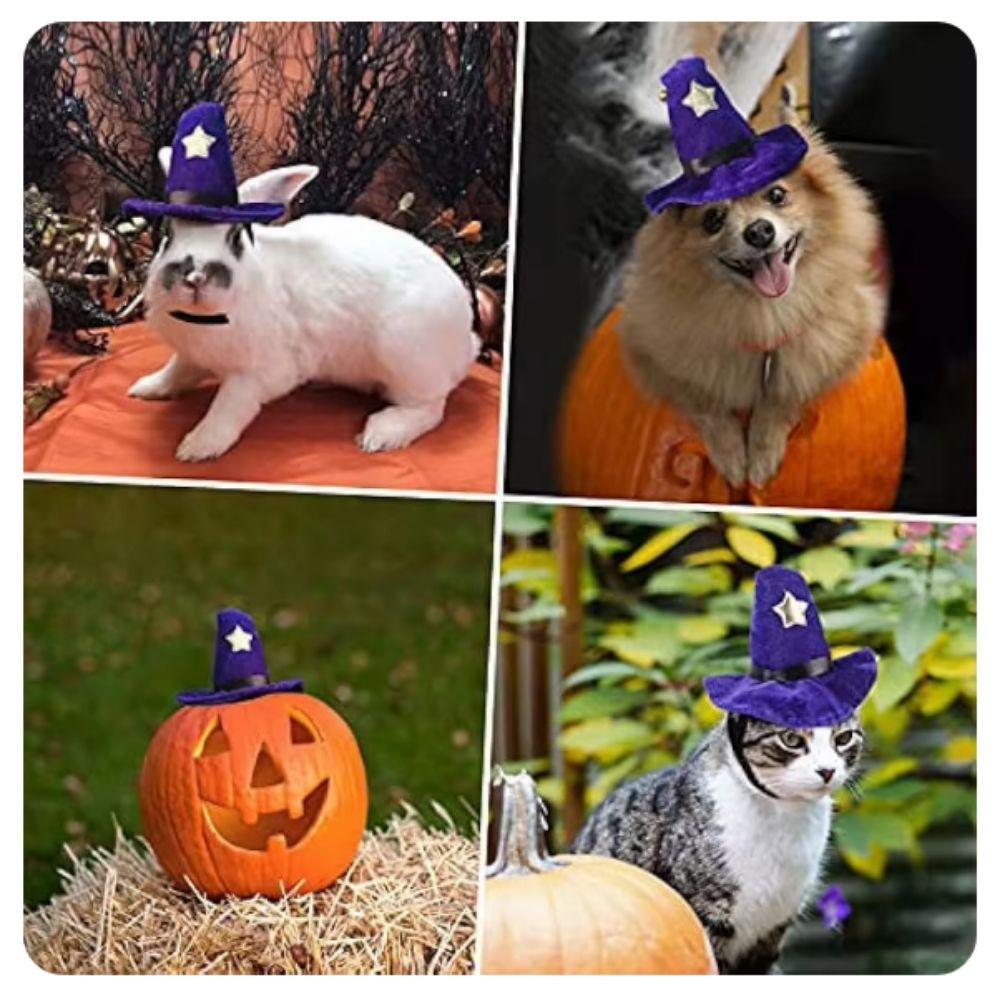 Breathable Cat Wizard Hat Adjustable Cat Spider Hat Funny Dog Cosplays Hat Halloween Party