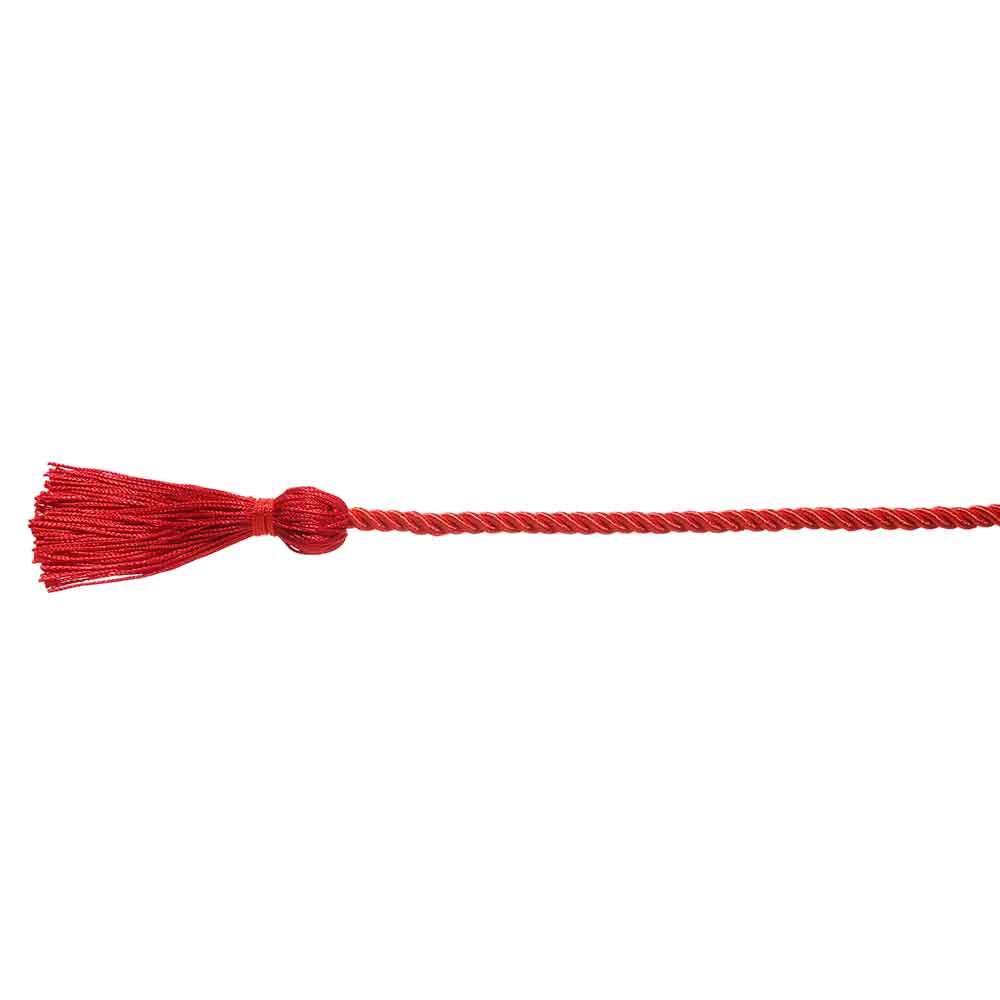 Props Polyester Craft Braided Tassels Cord Graduation Honor Cords Bachelor Gown Yarn Honor Cord