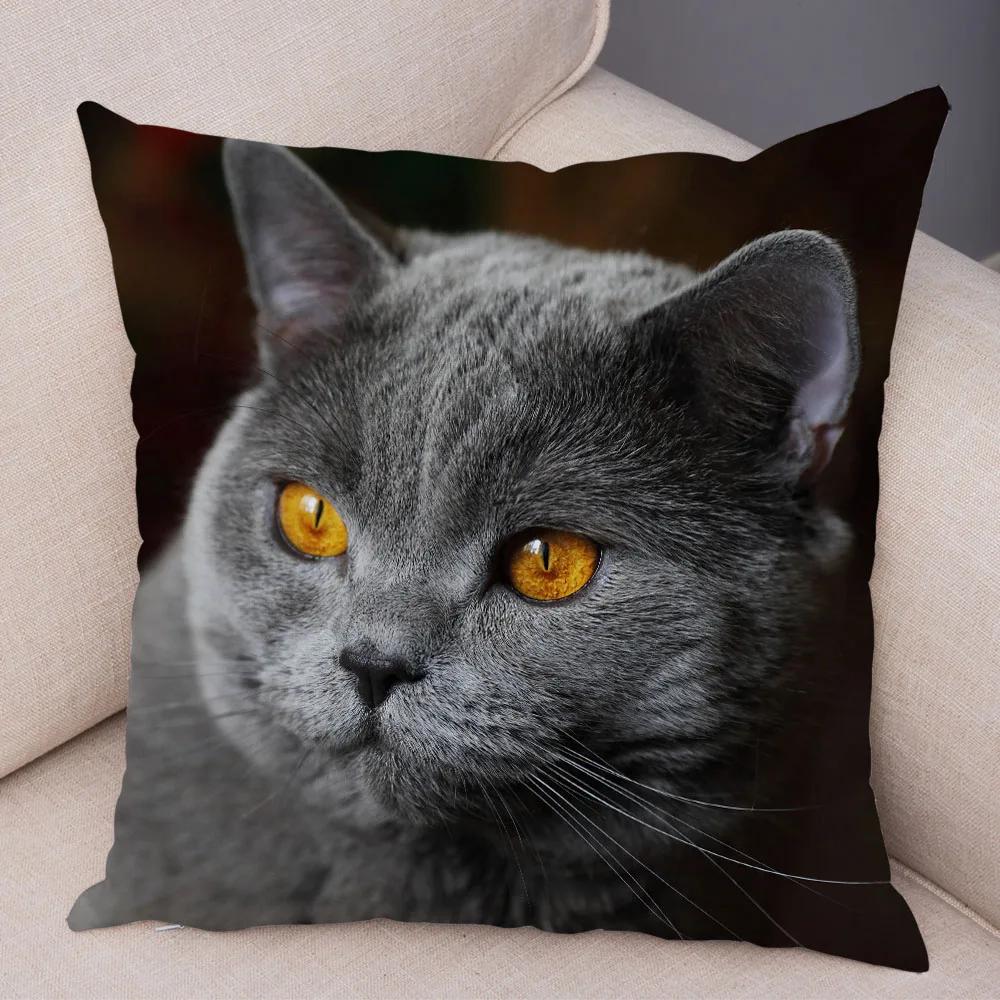 Русская голубая Британская короткошерстная Наволочка Декор Милый кот Домашнее животное Животное Наволочка Мягкий плюшевый Чехол для подушки для машины Дивана Дома