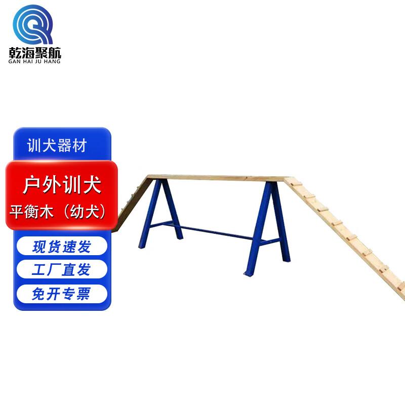 Professional Outdoor Dog Training Equipment