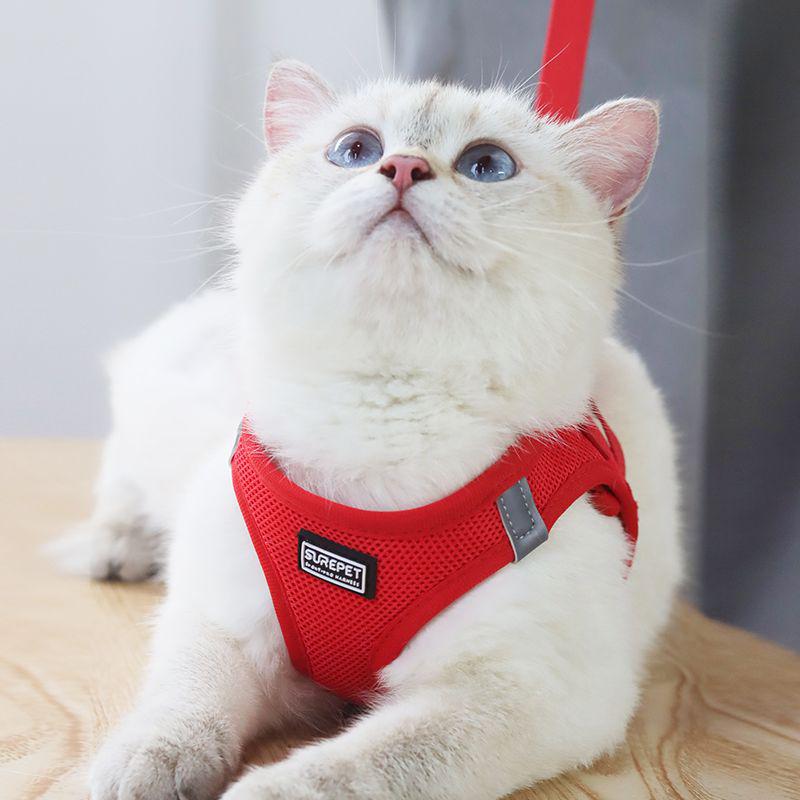 Защитная шлейка и поводок для кошек и маленьких собак - Веревка для прогулок на улице для тедди и бишон-фризе