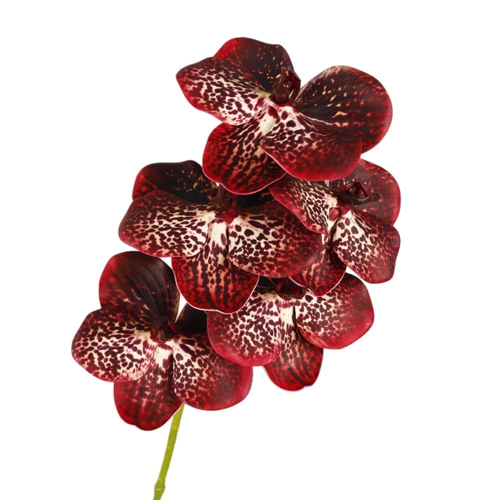 Real Touch Artificial Vanda Orchid Flower Handmade Faux Phalaenopsis  Wedding Party Favors