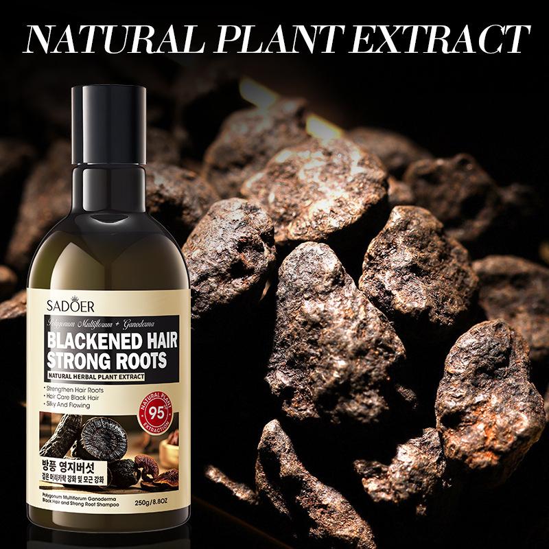Шампунь с Polygonum multiflorum и Ganoderma lucidum 250 г Увлажняющий и смягчающий шампунь