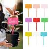 100Pcs T-type Sign Tags Garden Plant Labels Plastic Name Tag Writable Plastic Marker Tags