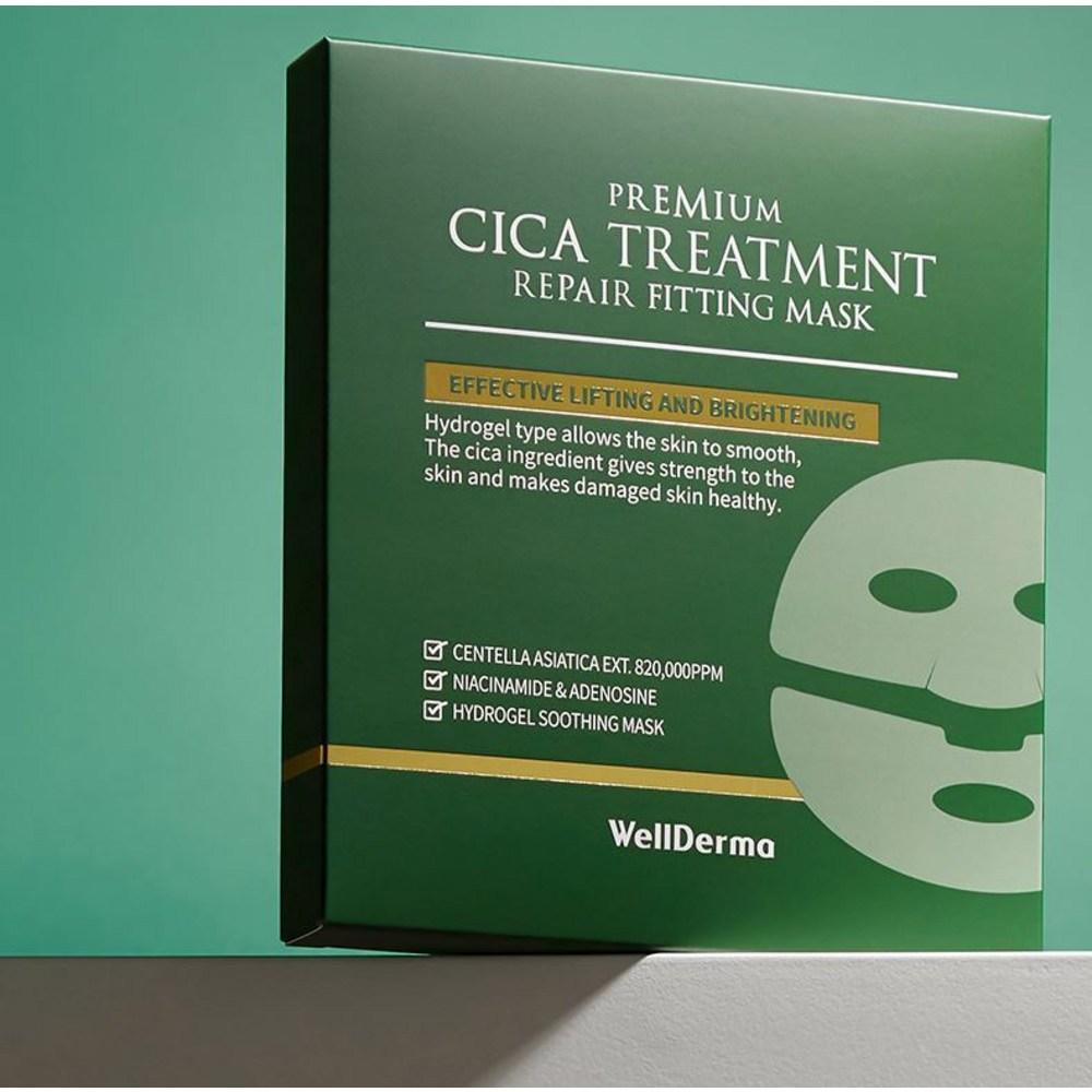 WellDerma Маска для восстановления и укрепления волос Premium Cica Treatment Repair Fitting Mask 25 г, 4 шт., 1 шт.