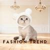 Maltese white goose hood Taiyaki cat hood pet hat small dog cute funny hat