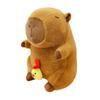 Miaomyao Plush Animal Capybara Fluffy and Soothing Birthday Gift for Kids and 25cm Toy, Chick, Item, Adults,