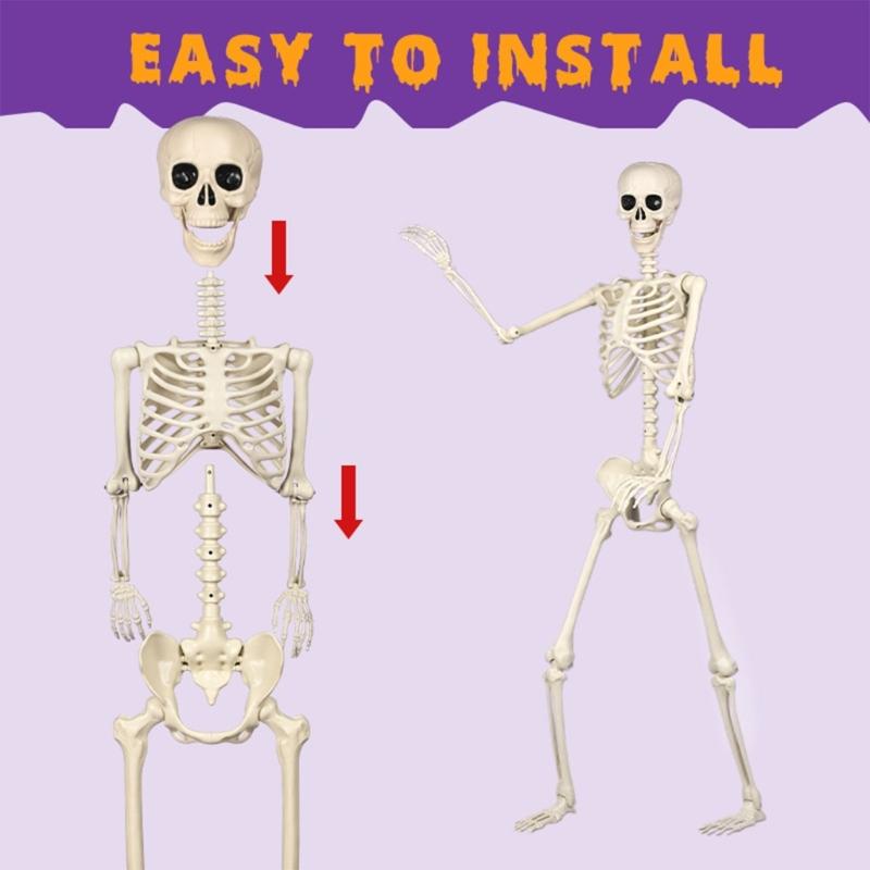Realistic Full Body Human Bone Halloweens Props Flexible Joints Portable Plastic Indoor Outdoors Decoration