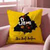 ART Punjab Map Cushion Cover Multi-Scene Pillow Cover for Home & Car - Reversible, Soft & Durable for Daily Use
