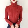 Autumn and Winter Turtleneck Sweater Women's Knit Bottoming Shirt Slim Inside Long Sleeves