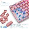 Gaming 81 Blue Switch Mechanical Wireless and USB Wired Connection RGB LED Wireless Keyboard for Work and Compatible with Mac and Windows e-Element