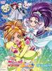 Futari wa PreCure ограничен первым SplashStar DVD-BOX vol.2 (полностью производство)