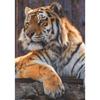 5D DIY алмазная живопись животное горный хрусталь Тигр Алмазная вышивка настенная картина мозаика украшение дома подарок ручной работы комплект