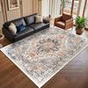 Bohemian Distressed Style Large Living Room Carpet Decoration Bedroom Non-slip Washable Luxury Rug Soft Fluffy Office Floor Mats