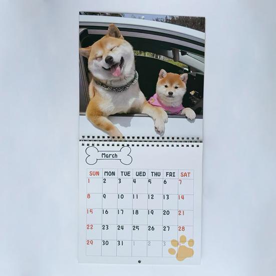 Настенный календарь на 2026 год, настенный календарь со смешными собаками, январь. 2026 - Дек. 2026 12-месячный планер Подарки-приколы для любителей собак