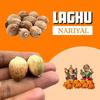 Birju Mahavir Laghu Nariyal 11 Pieces - Small Coconut Sriphal for pooja