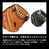 Rawlings Baseball HOH BREAK THE MOLD Rich Tan Size 33 Glove, Hardball, Adult, GH5HBJLF, [Catcher's], (Right-Handed Thrower)