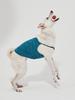 Arumaru Топ для питомца_Синий