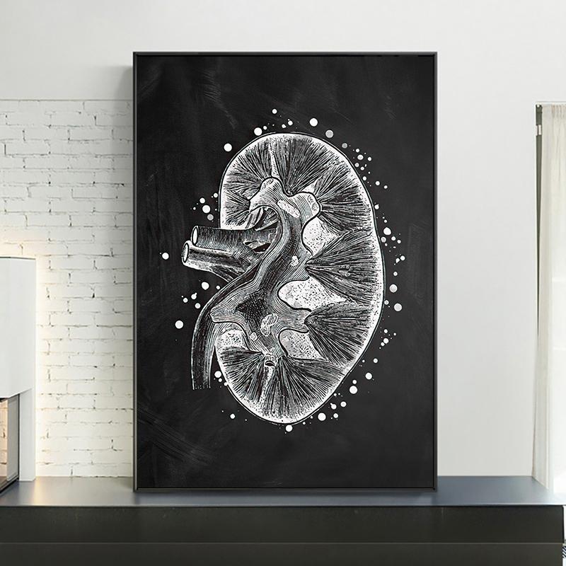 Анатомия человека, винтажный постер, черно-белые органы, холст, картина, настенная художественная печать, современная картина, украшение для гостиной, дома