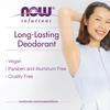 Now Foods Solutions, Стойкий дезодорант-стик, Освежающая лаванда, 2,2 унции (62 г)