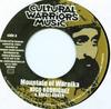 7inch Record RICO RODRIGUEZ & RAPHAËL ANKER - Mountain Of Wareika CW7004 Cultural Warrio 2002 Sweden Reggae, Ska & Dub Used