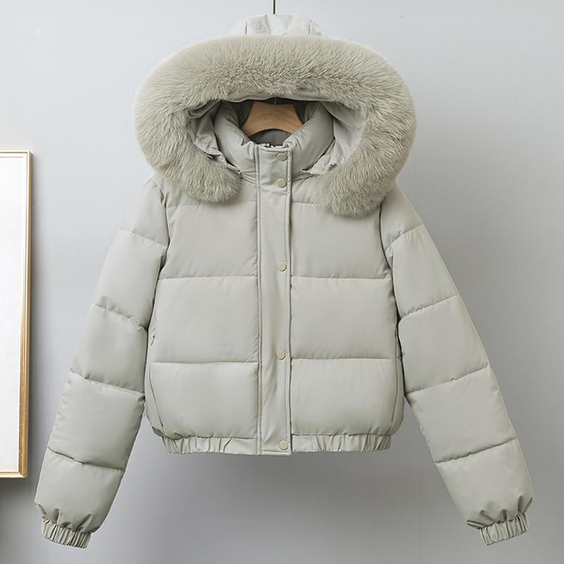 Модное зимнее пальто женское короткое парки с капюшоном воротник из искусственного меха свободное толстое теплое женские куртки