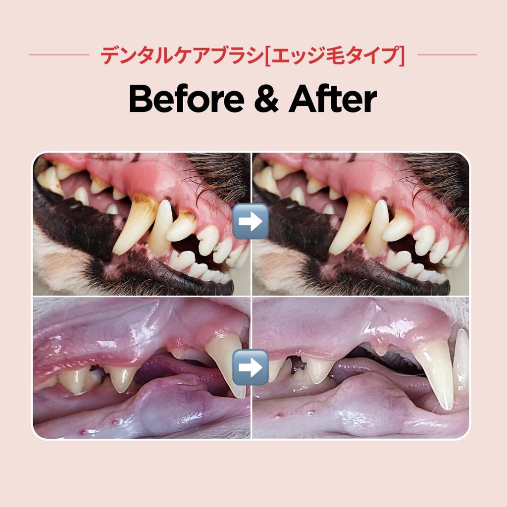 Зубная щетка JAYU PET Dental Care Brush Мягкая зубная щетка для удаления зубного камня и налета у кошек, горизонтальная головка, край корпуса - удаление, и S-образный изгиб (1, щетина)