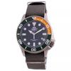 Triton Diver's Automatic RA-AC0K04E10B 200M Мужские часы