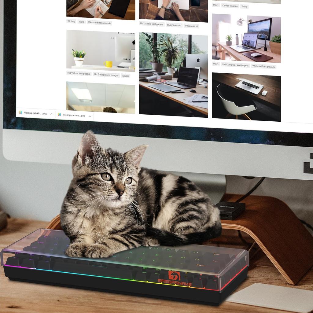 Клавиатура MAMBASNAKE Подходит для 68-клавишной мини-клавиатуры, высокотемпературная гибка под давлением, чехол-кейс для хранения кошки, пылезащитный, акриловый, 60% клавиатура/игровая