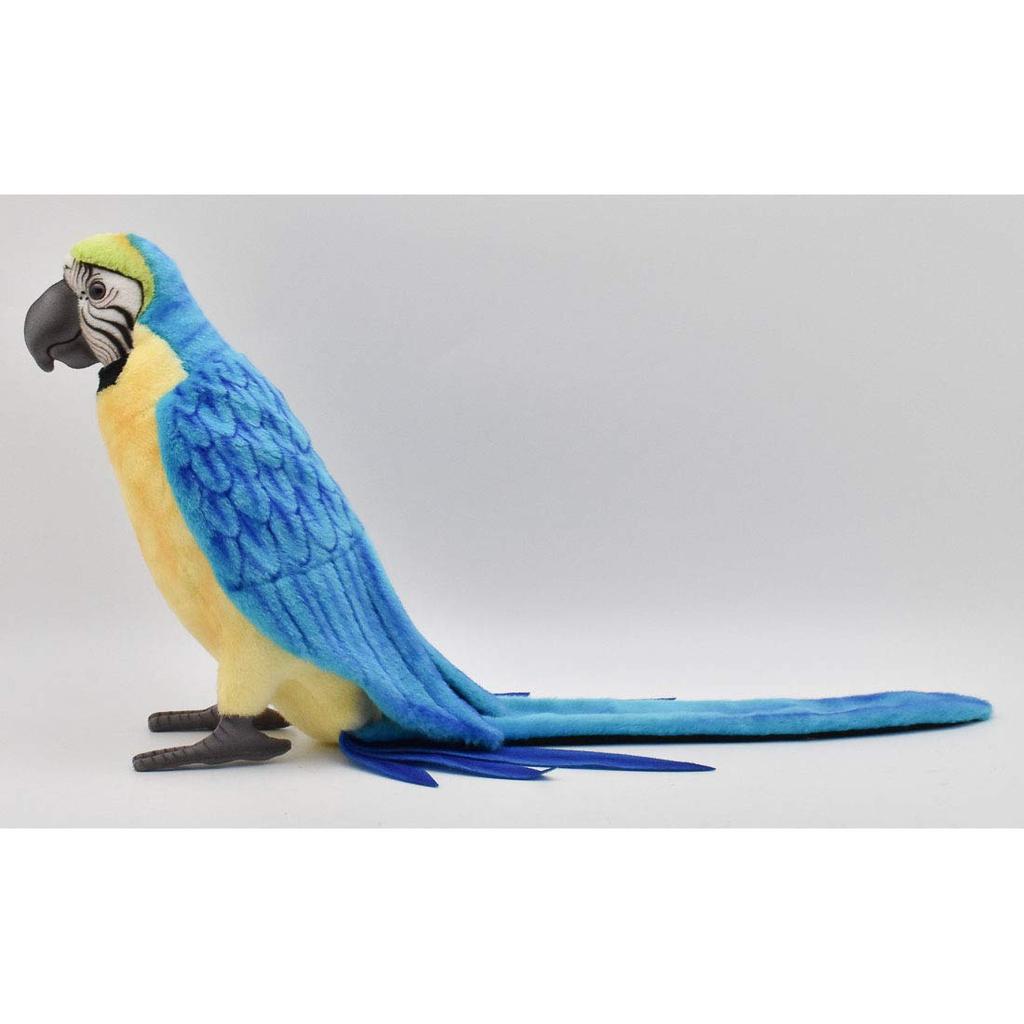 BH3068 HANSA Blue-throated Macaw 72