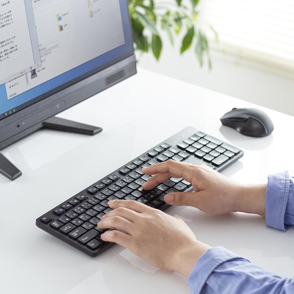 Sanwa Supply Wireless Quiet Keyboard беспроводная цифровая клавиатура (2,4 ГГц включено) СКБ-WL37BK