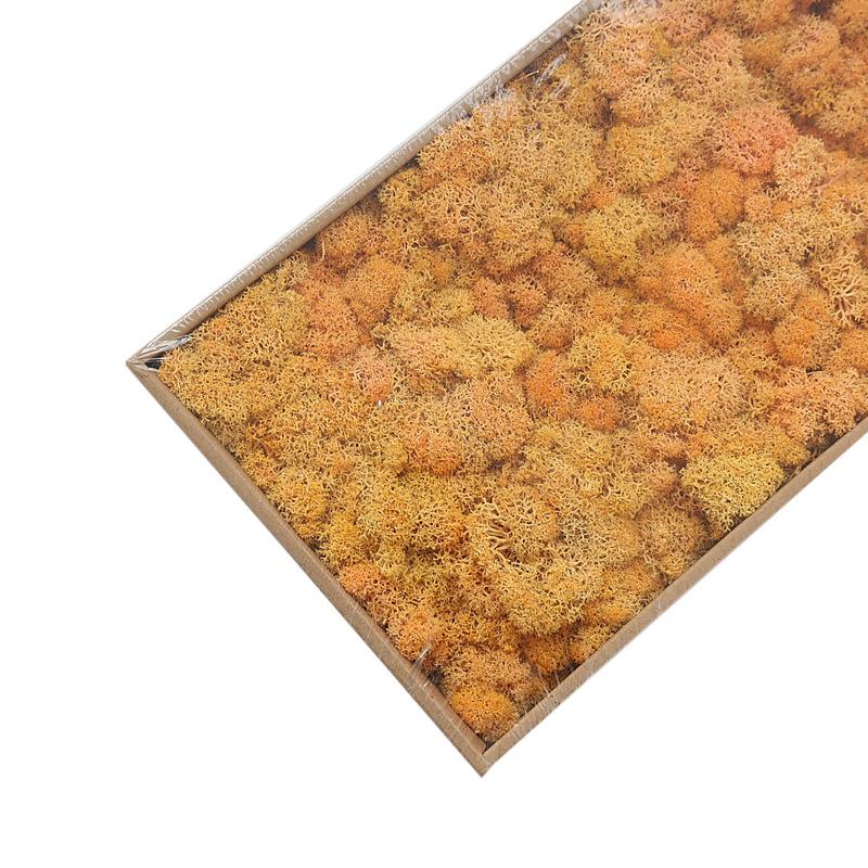 Preserved Flower & Moss Wall Decoration Kit: Flower Gift Box Materials