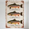 Vintage Rustic Trout Metal Tin Sign - Rainwow, Brock, Brown Trout Illustrations, Distressed Aged Wall Decor with Hanging Holes F